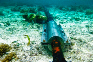 Cabos de rede submarino: veja algumas curiosidades interessantes